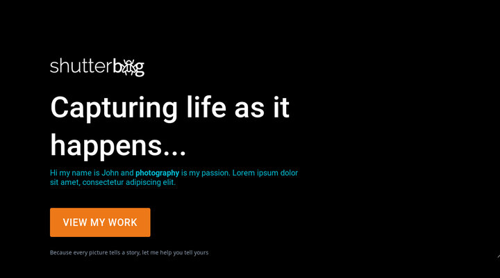 Shutterbug - DIVI Single Page Theme | Motion Edge Design