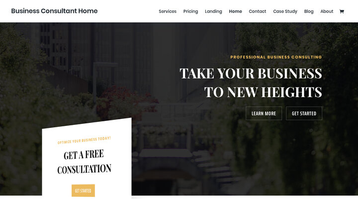 Business Consultant Home | Elegant Themes