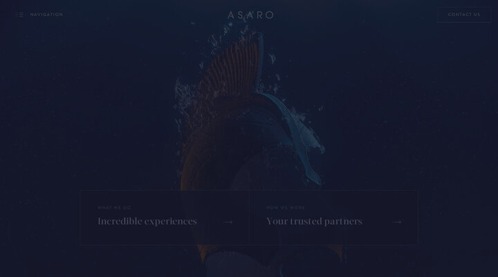 Unique experiences for superyacht guests worldwide – Asaro