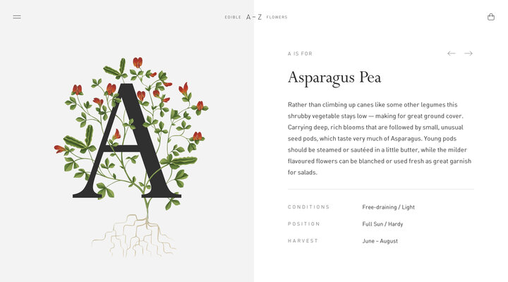 A - Z of Edible Flowers