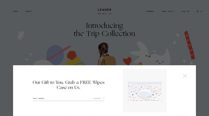 Leader Bag Co | Introducing Our Signature Diaper Bag Backpack