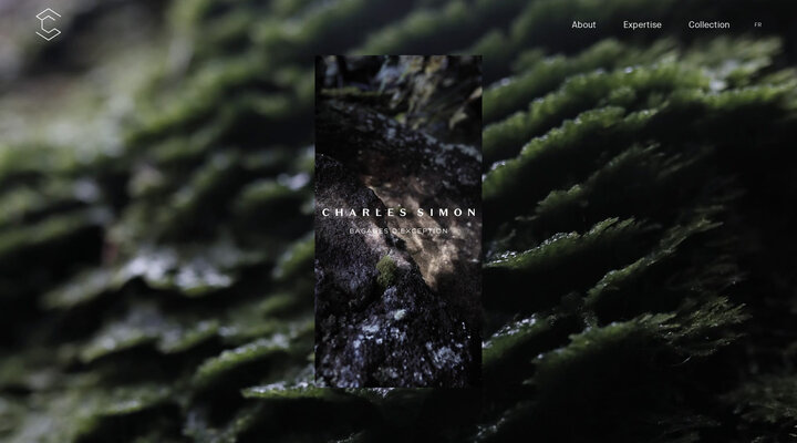 Charles Simon – Luxury luggage