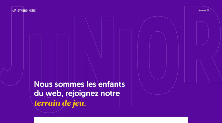 Synerg’hetic • La Junior-Entreprise des Enfants du Web