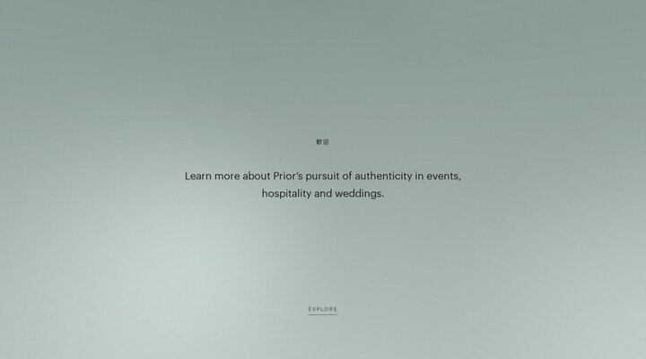 Prior Holdings - Experience