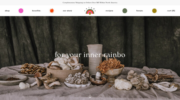 Rainbo - Medicinal Mushroom Wellbeing