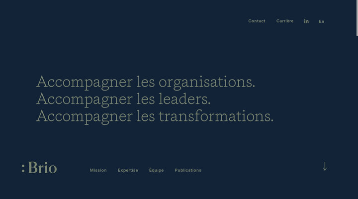 Accueil - Brio Conseils