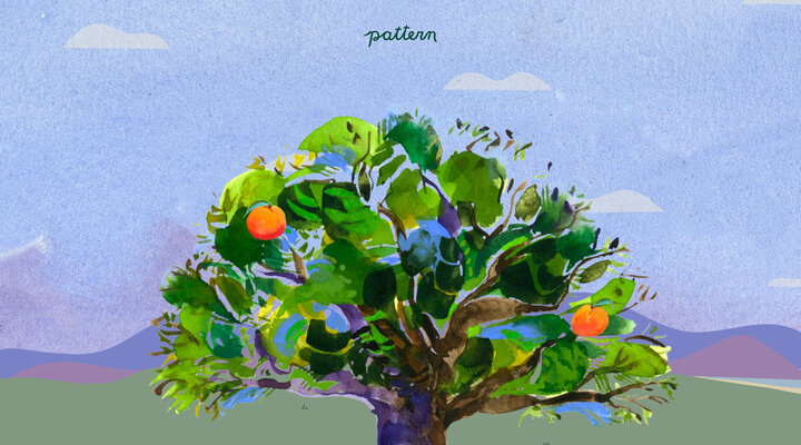 Our Home | Pattern Brands