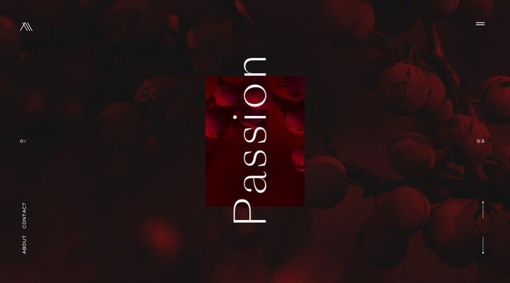 Millemann Consulting - Oenology & Viticulture expertise