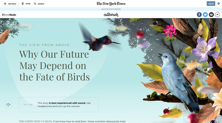 The View From Above (Paid Post by Allbirds from The New York Times)