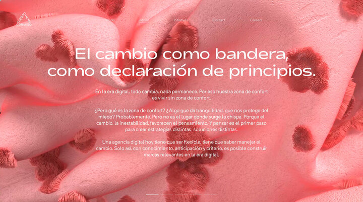 About | Fuego Camina Conmigo