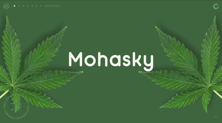 Home - Mohasky