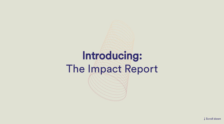 Impact Report 2019 | Organic Basics