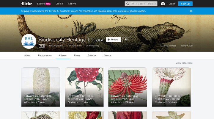 Biodiversity Heritage Library’s albums | Flickr