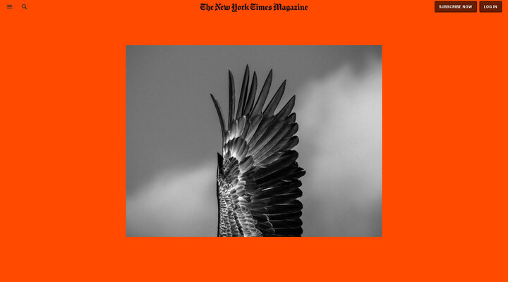 Follow Us to the Ends of the Earth - The New York Times