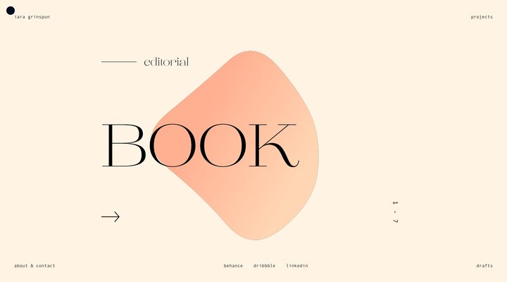 Iara Grinspun Portfolio