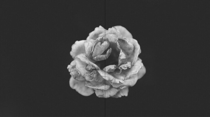 MURAMOTO MEGURU - PORTOFOLIO2020