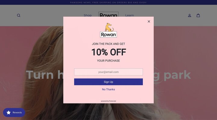 Rowan | Clean Coat Care For Modern Dogs