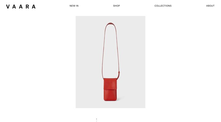 Camera Bag Red