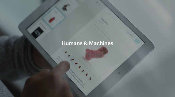 Humans & Machines