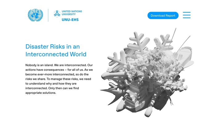 Disaster Risks in an  Interconnected World