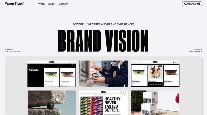 Paper Tiger | Digital agency for powerful websites