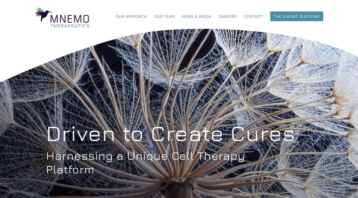 Home | Mnemo Therapeutics