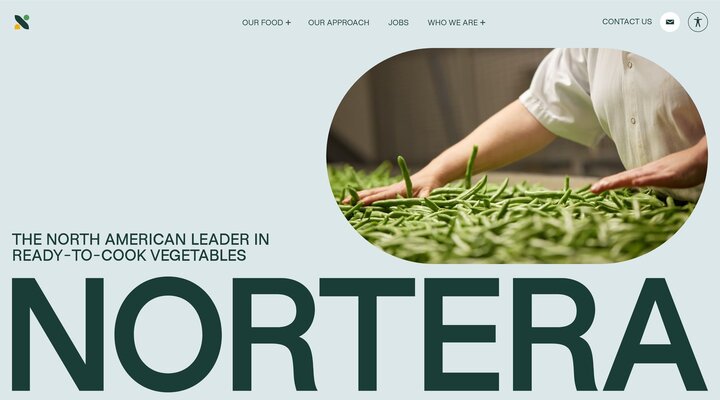 Leader in the processing and sale of vegetables | Nortera