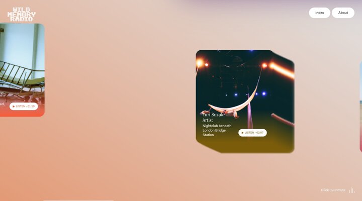 Wild Memory Radio | A journey through the memories of creatives