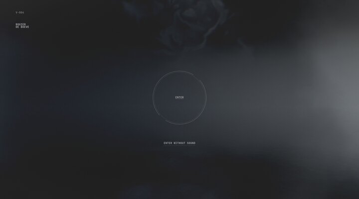 Rogier de Boevé - Creative Developer