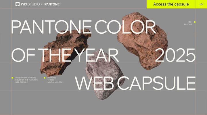 Wix Studio x Pantone Color of the Year 2025 Web Capsule