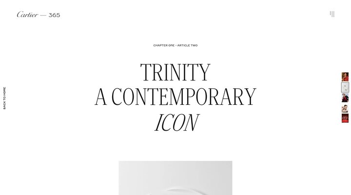 365 - A year of Cartier