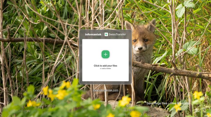 SwissTransfer - Send large files securely and free of charge