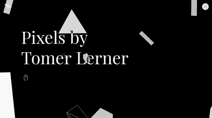Pixels by Tomer Lerner