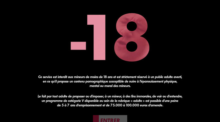 Le meilleur du X est parti sur CANAL