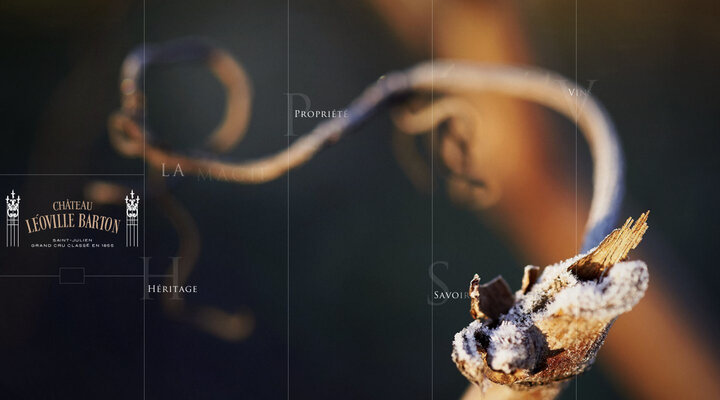 Château Léoville Barton Saint Julien Grand Cru Classé 1855