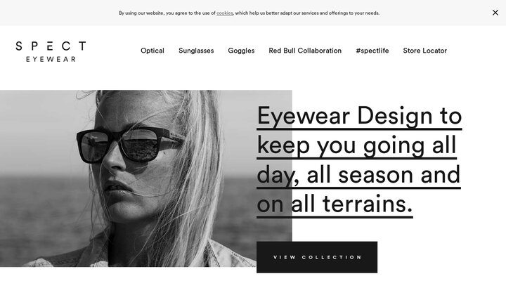 SPECT EYEWEAR / Red Bull SPECT EYEWEAR