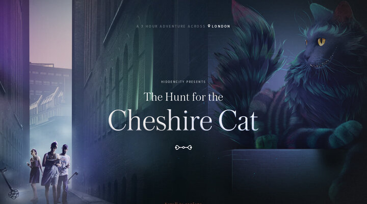 The Hunt for the Cheshire Cat by HiddenCity